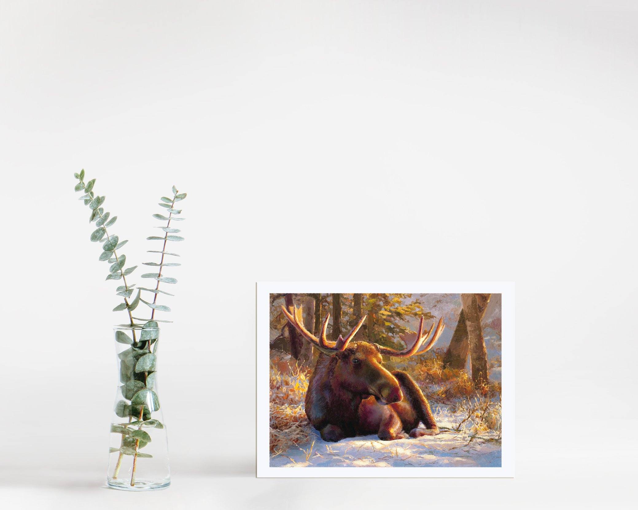 Winter Bull - Moose Art Prints