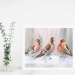 Wall art print of redpoll songbirds by wildlife artist Karen Whitworth