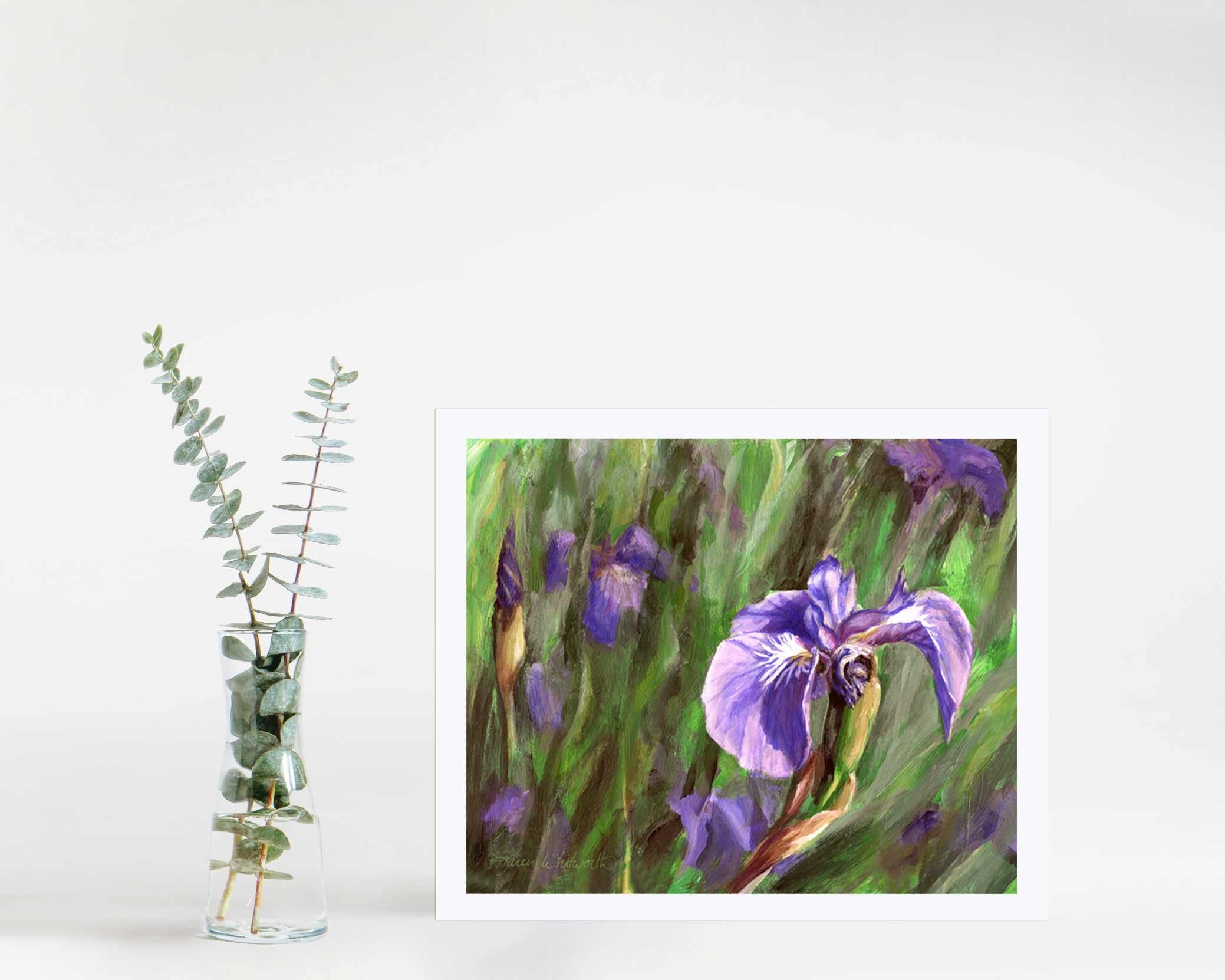 8x10 Paper wall art print of Alaskan wild iris flower by artist Karen Whitworth