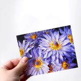A hand holding an envelope and card featuring art of tropical Hawaiian Lotus Flowers on white background