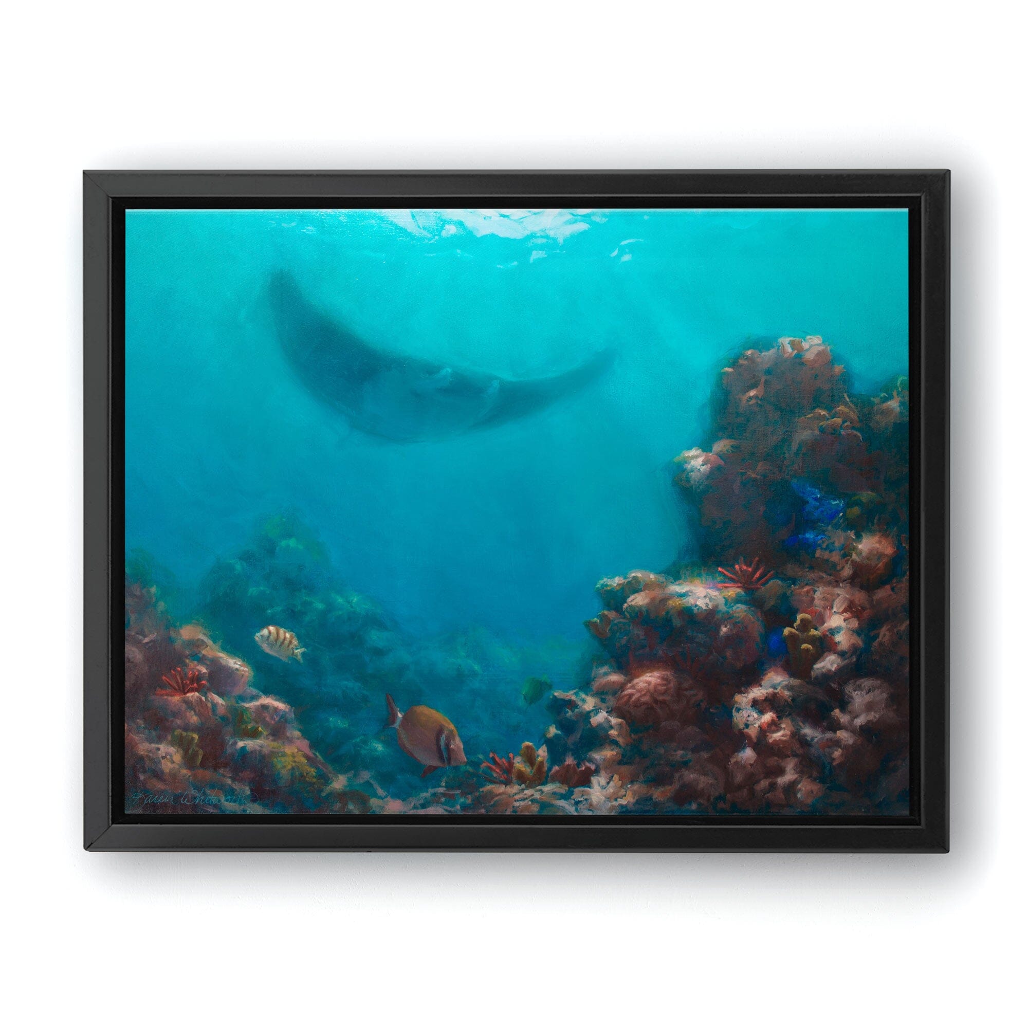 Manta Ray Canvas Wall Art Print - Underwater Ocean Painting of