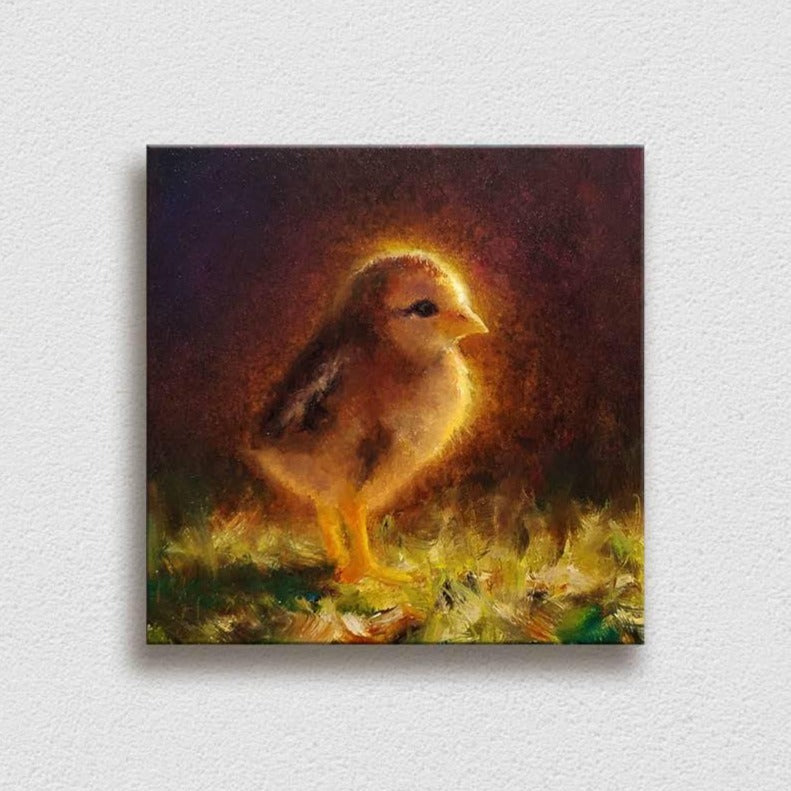 Baby Chick from Kauai, a chickens print on canvas wall art
