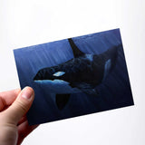 Orca Killer Whale in the blue ocean greeting card by Alaska artist Karen Whitworth.