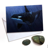 Orca Killer Whale in the blue ocean greeting card by Alaska artist Karen Whitworth.