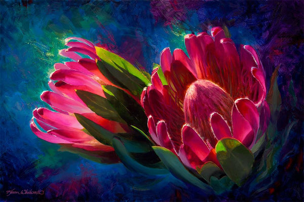 Sunlit-Protea-Tropical-