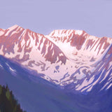 Bald Eagle Alaska Art Print
