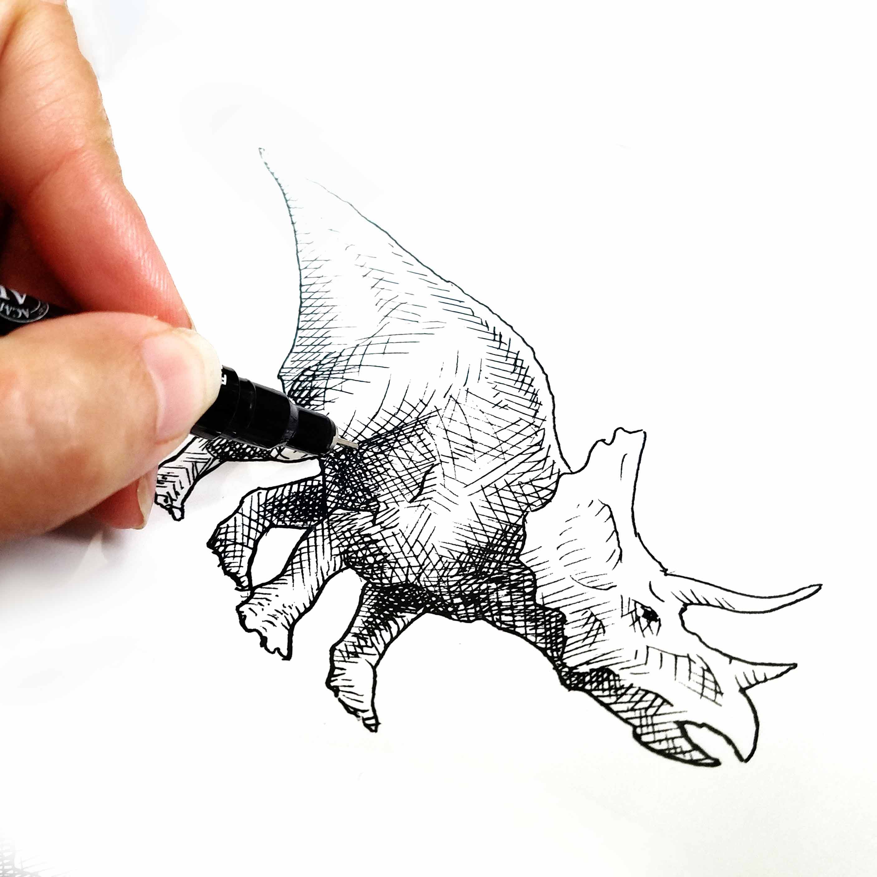 Triceratops wall art print of dinosaur drawing by artist Karen Whitworth