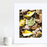 Wall art print of fallen leaves by nature artist Karen Whitworth