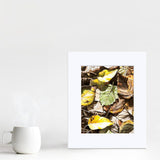 Wall art print of fallen leaves by nature artist Karen Whitworth