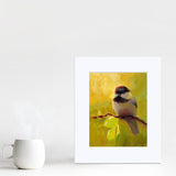 Bright painting of black capped chickadee bird by wildlife artist Karen Whitworth