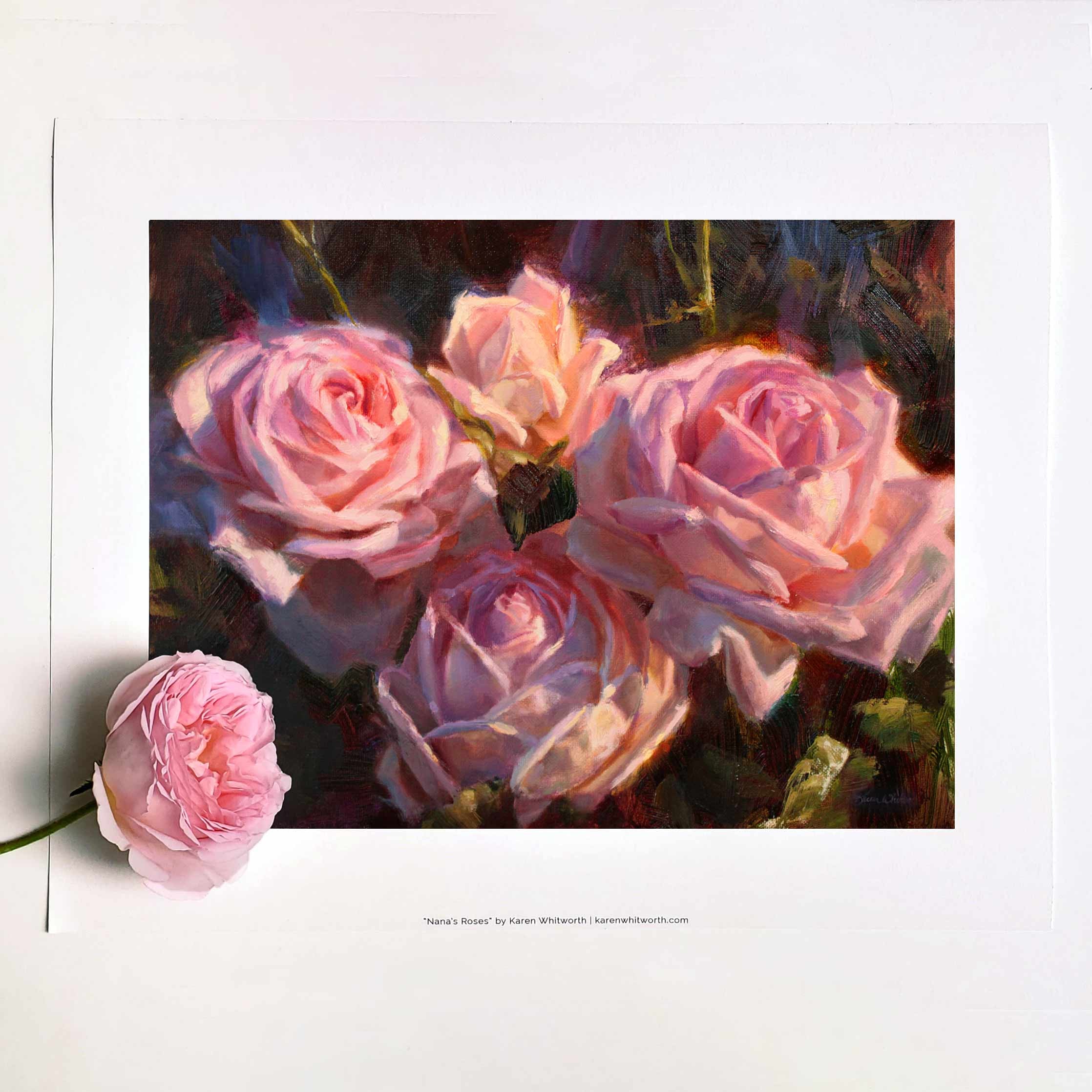 English Rose Wall Art Print of Pink Flowers Painting